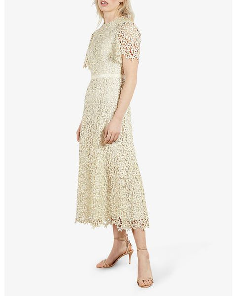 ted baker cream dress Aedna Bodycon Knit Dress Ivory