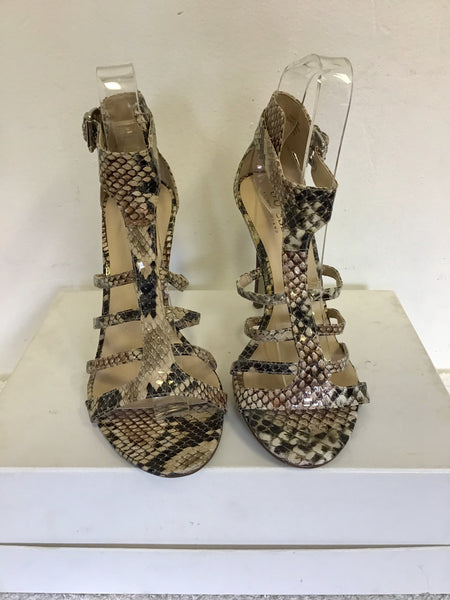 Snake lace 2025 up heels