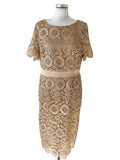 BRAND NEW ISABELLA SPECIAL OCCASION GOLD LACE SHIFT DRESS & JACKET SIZE 14