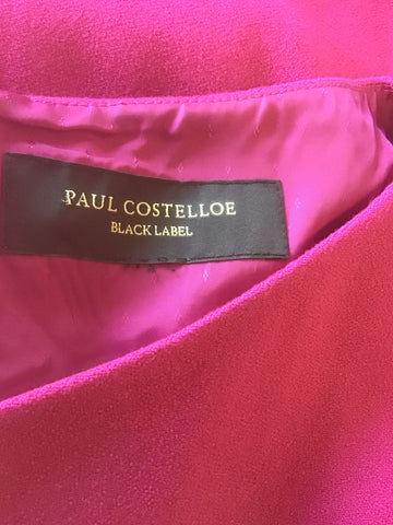 PAUL COSTELLO BLACK LABEL RASPBERRY PINK CAP SLEEVE SHIFT DRESS SIZE 16